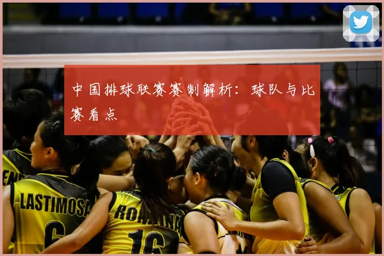 中国排球联赛赛制解析：球队与比赛看点